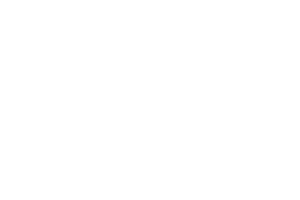 DSM Precision Manufacturing