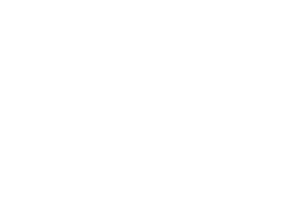 Toyoya Racing